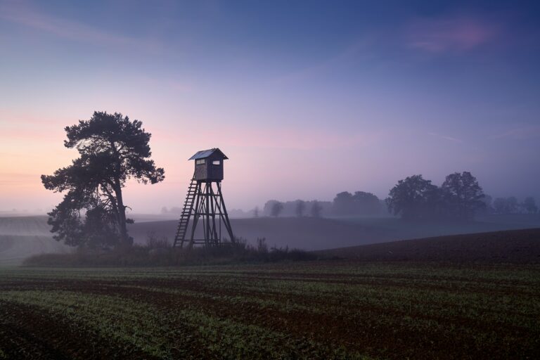 Deer hunting tower on a field in Autumn at dawn.
